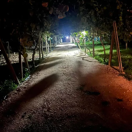 Kuca Za Odmor كابليينا